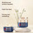 Polypeptide Anti-wrinkle Moisturizer
