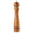 Electric Salt and Pepper Grinder
